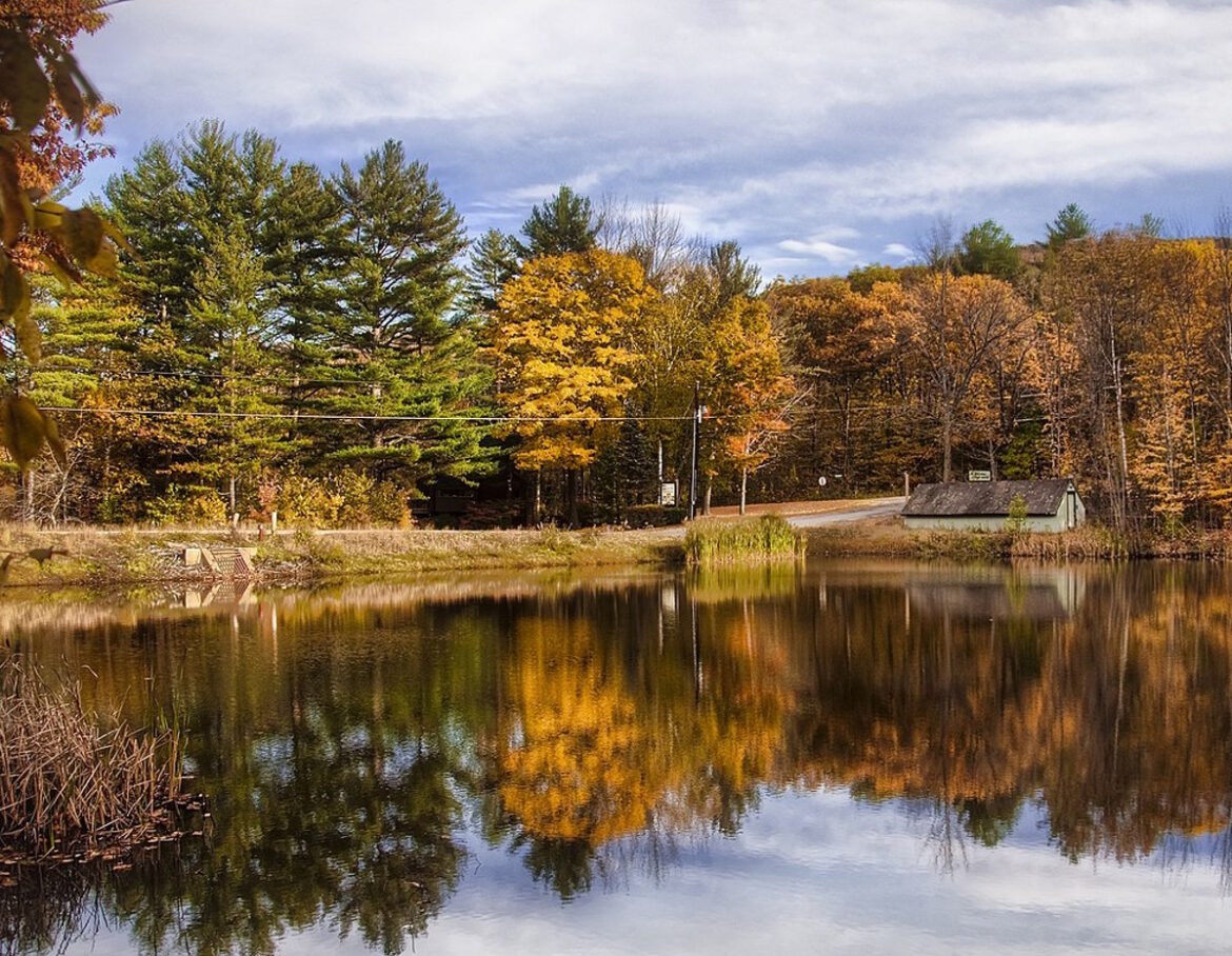 Armchair Guide to NH Leaf Peeping, 1859 Style - New England Historical ...