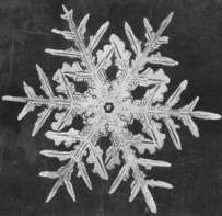 wilson bentley snowflake2