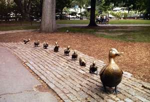 The Make Way for Ducklings statues