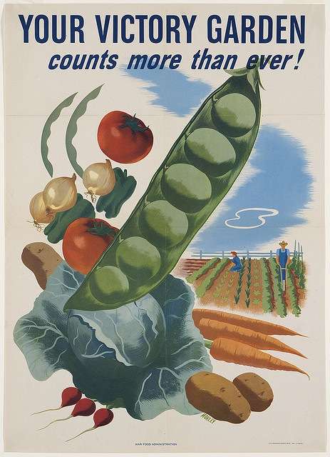 U.S. government poster promoting victory gardens