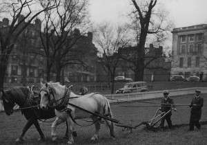 How Victory Gardens Helped Win World War II - New England Historical ...