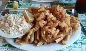 fried -clams