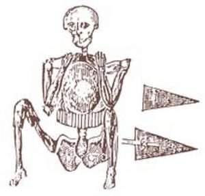 Sketch of the Fall River skeleton in armor. 