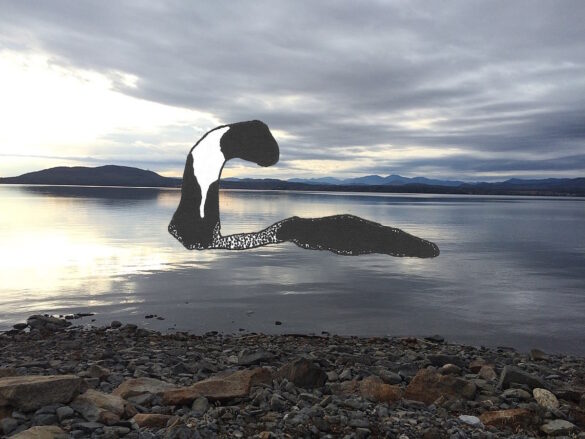 Champ, the Lake Champlain Lake Monster - New England Historical Society