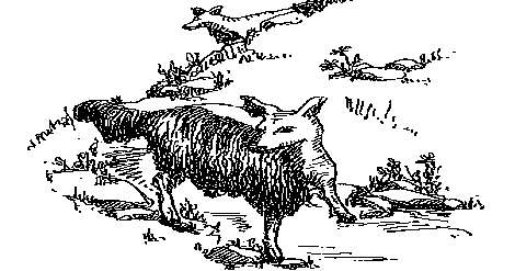 Illustration of a Gyascutus from Henry Tryon's Fearsome Critters.