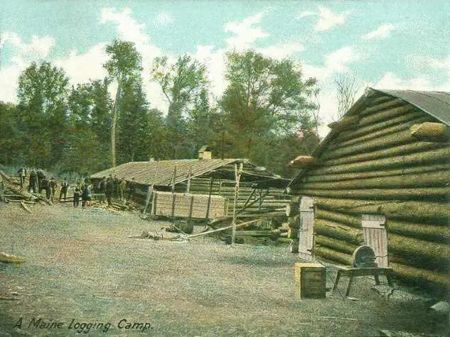 Maine logging camp, 1906
