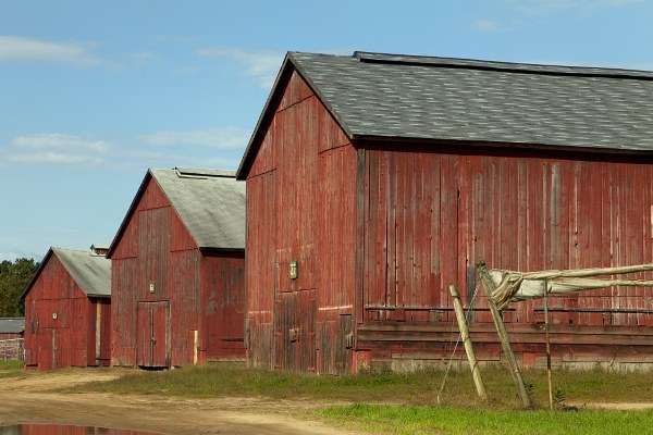 historic-barns-windsor-conn-highsmith